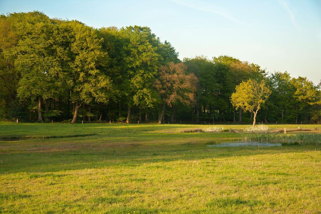 אוטמארסום Hoeve Springendal מראה חיצוני תמונה