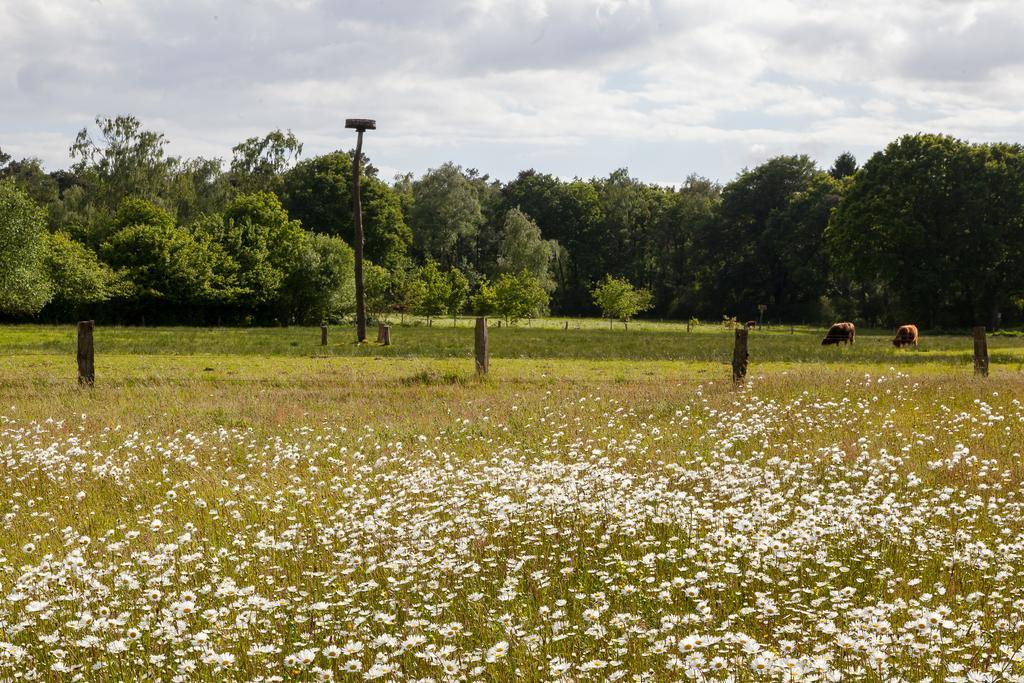 אוטמארסום Hoeve Springendal מראה חיצוני תמונה
